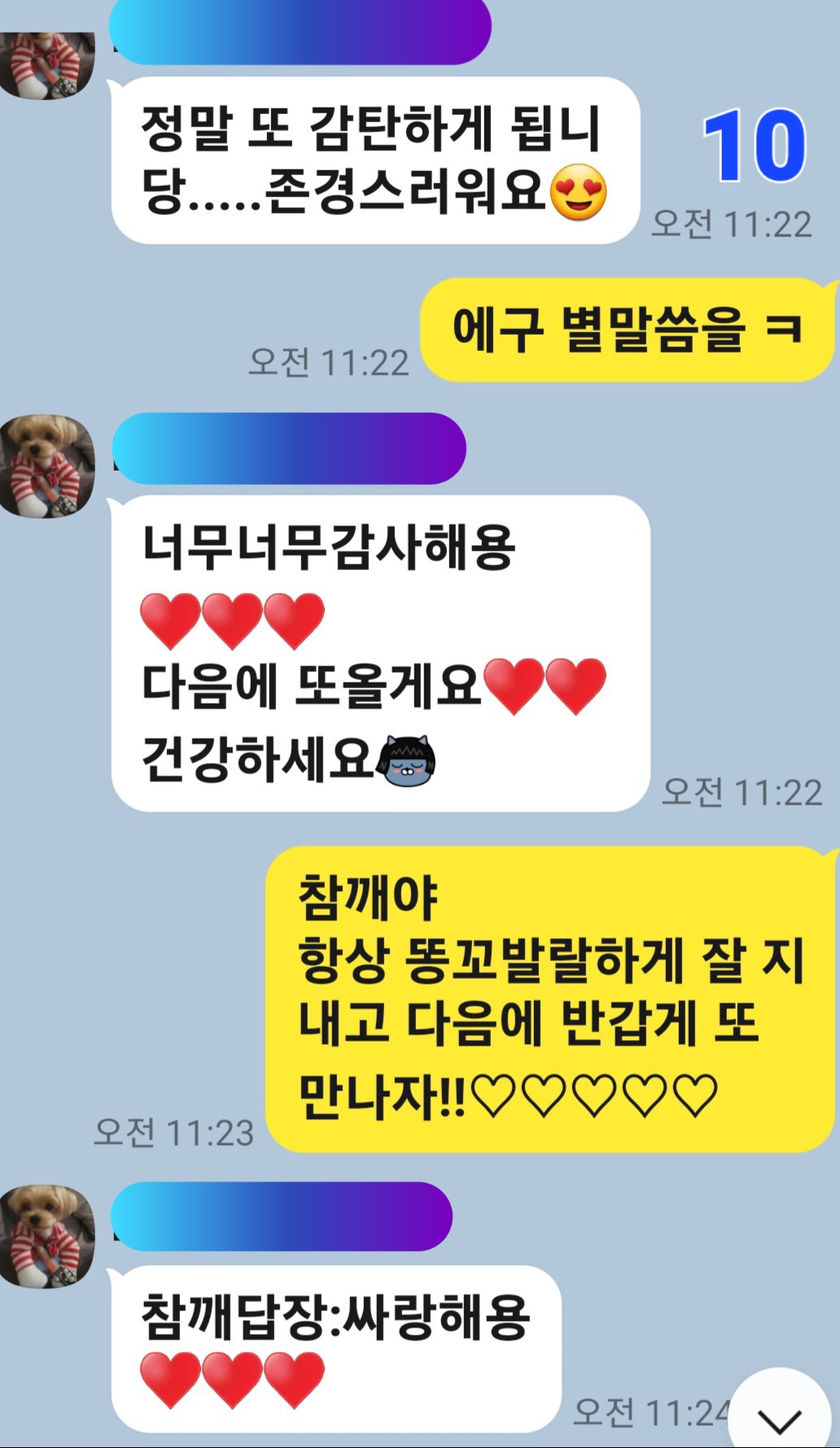 이미지 12