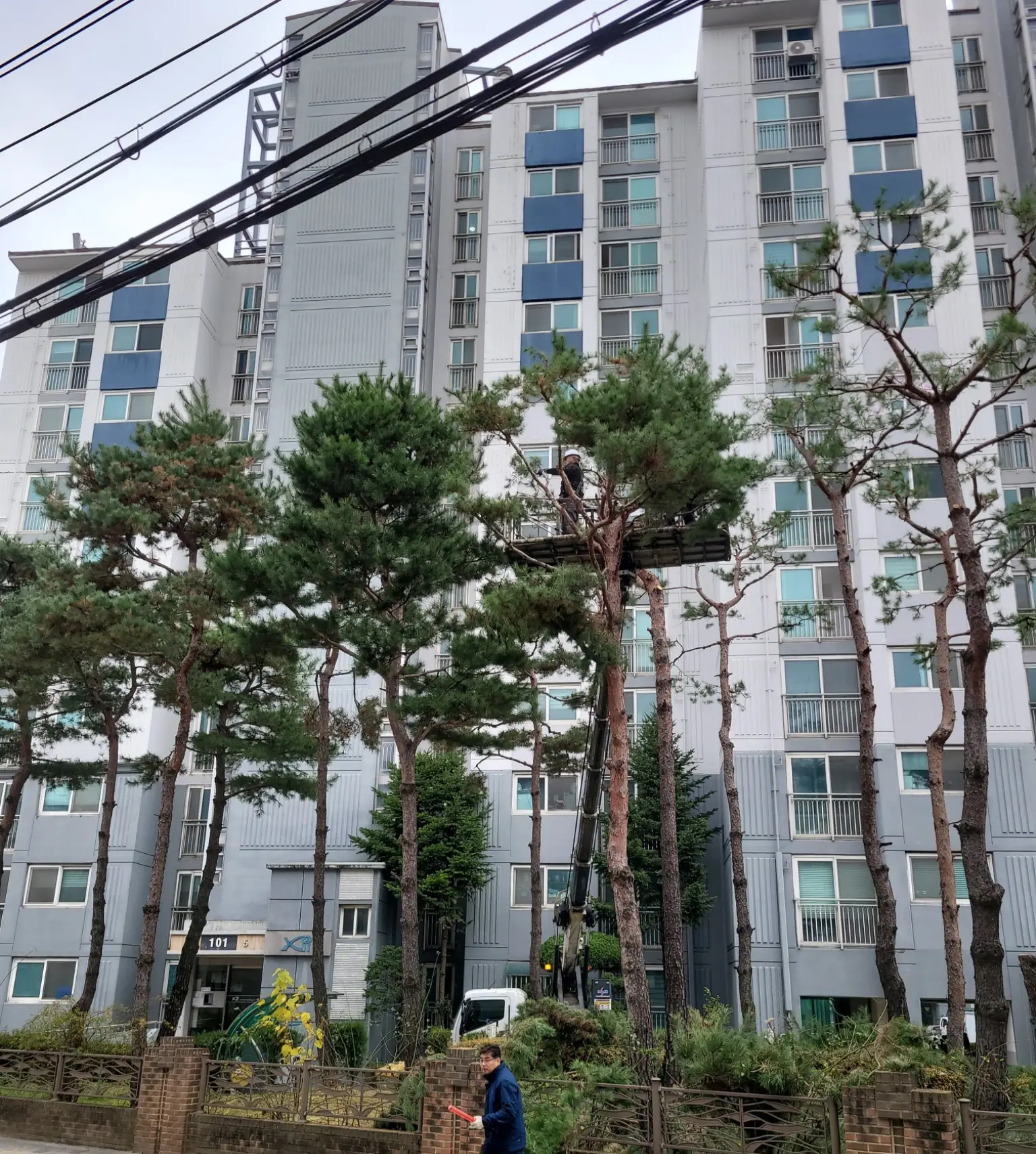 이미지 2