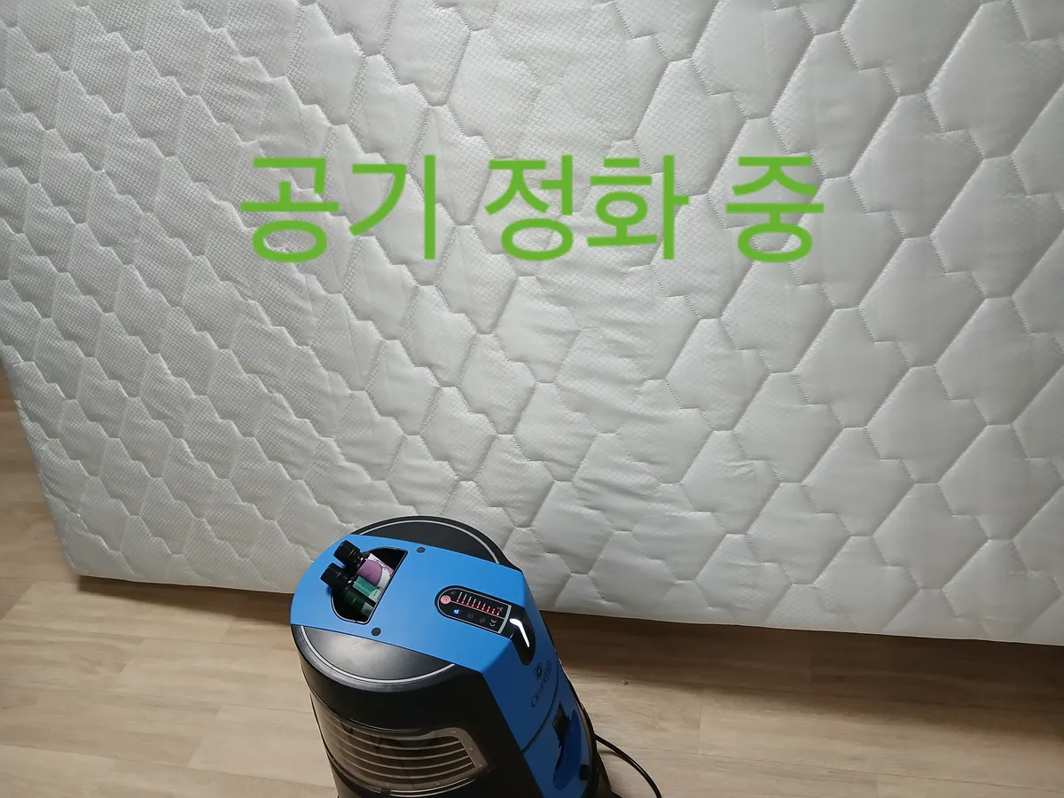 이미지 20