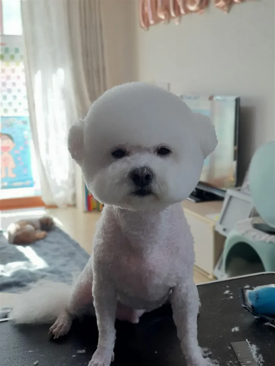 이미지 10