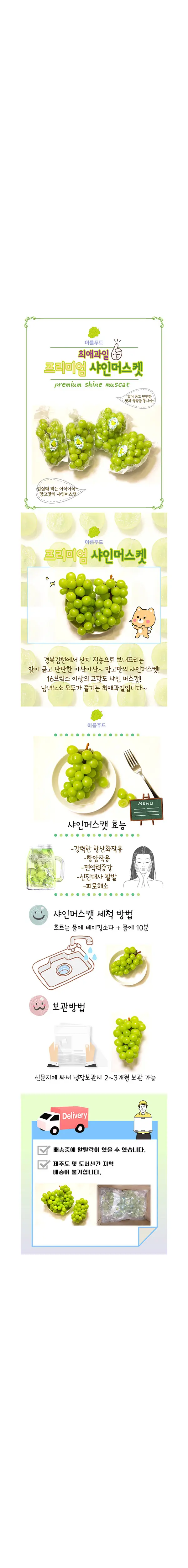 이미지 3