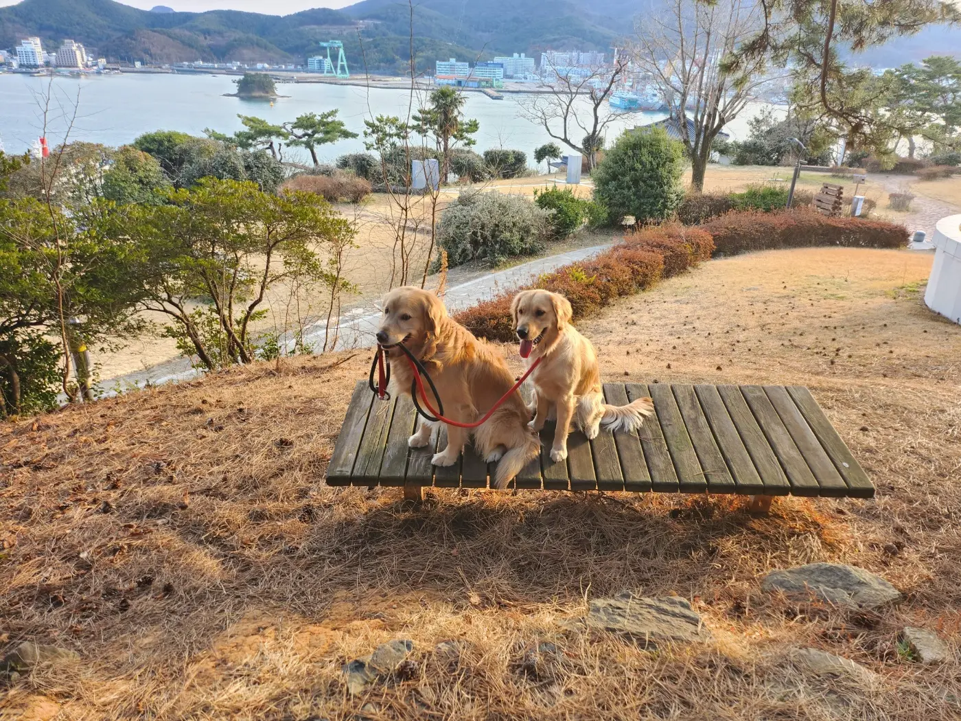 이미지 4