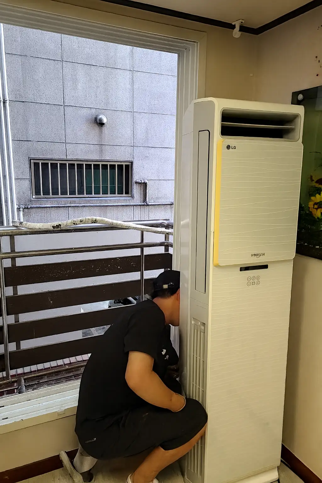 이미지 12