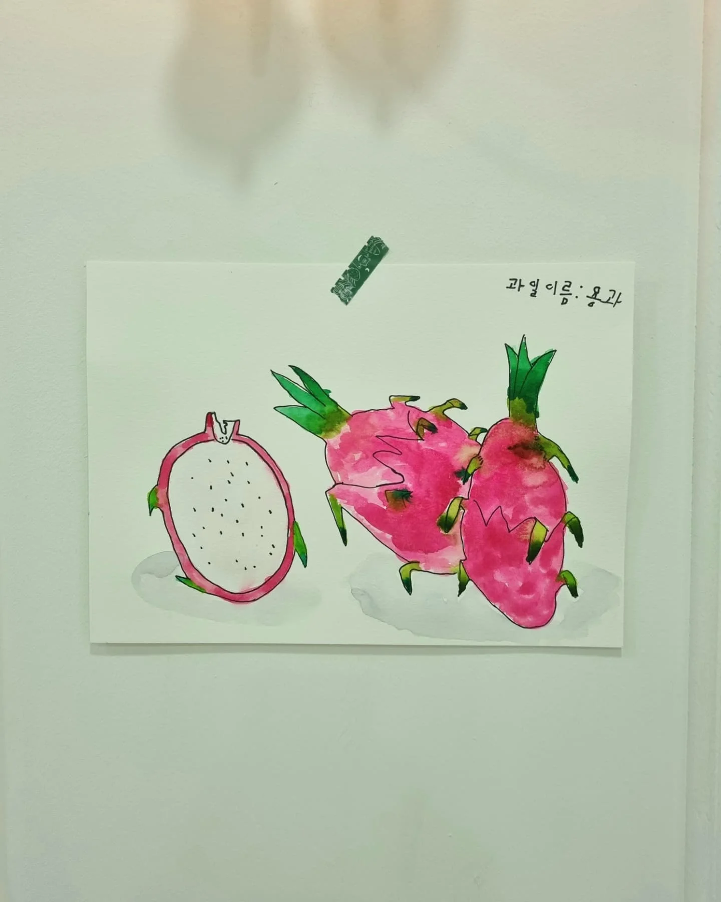 이미지 7