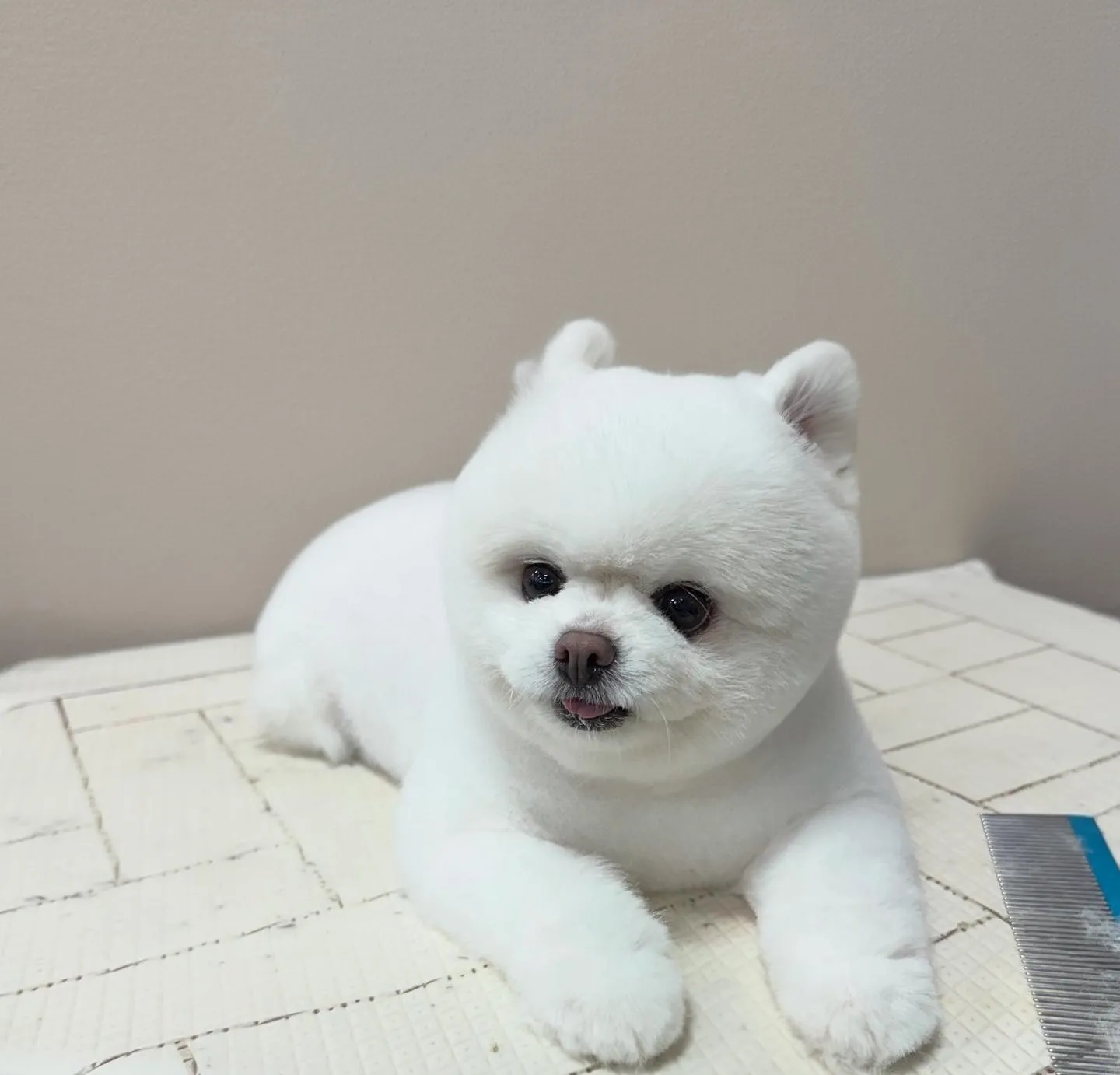 이미지 18