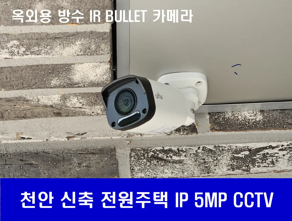 이미지 5