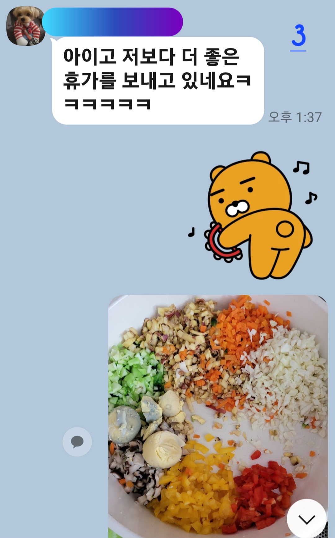 이미지 5
