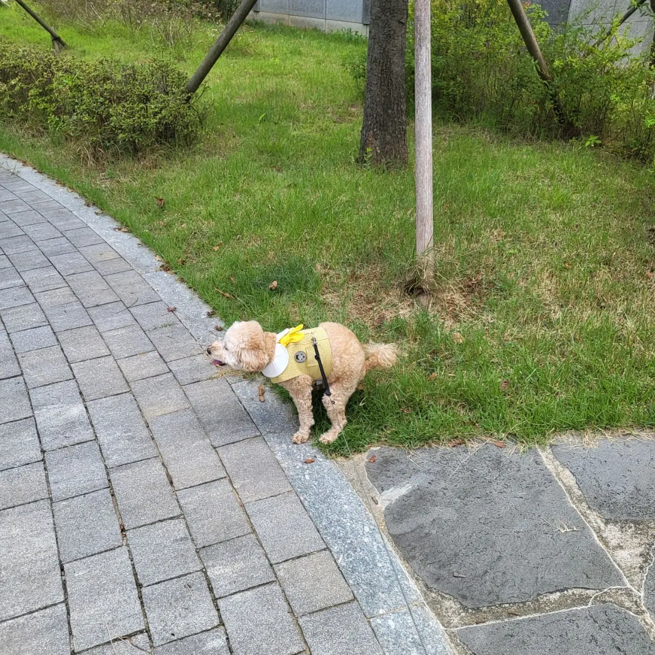 이미지 8