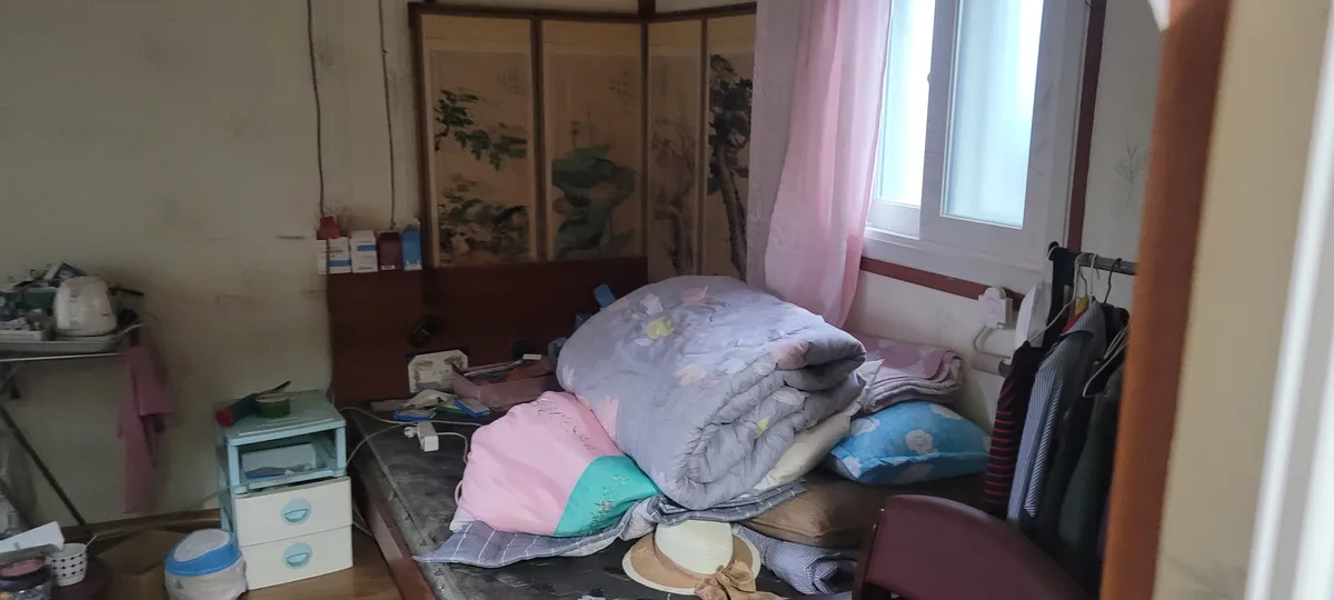 이미지 12