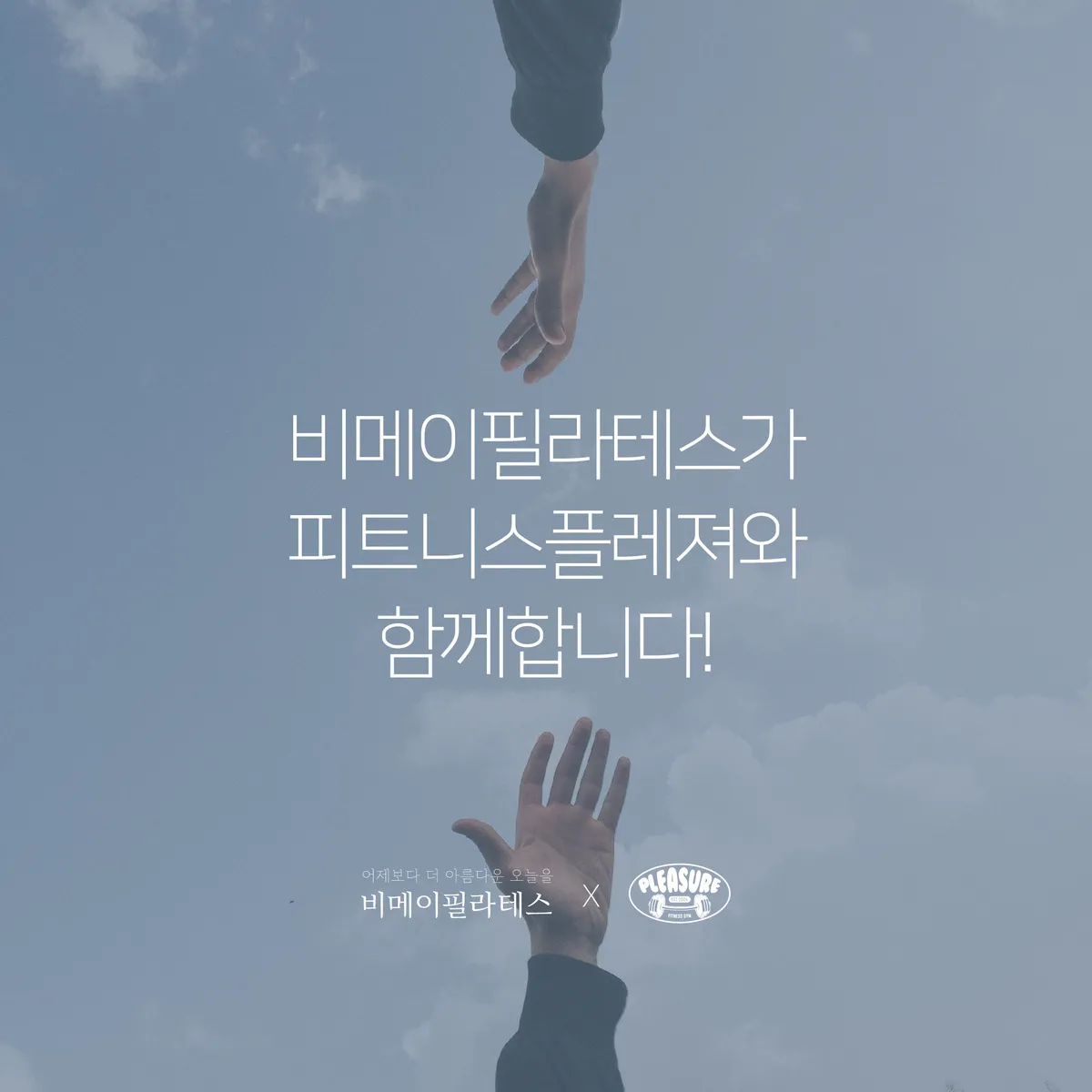 이미지 12