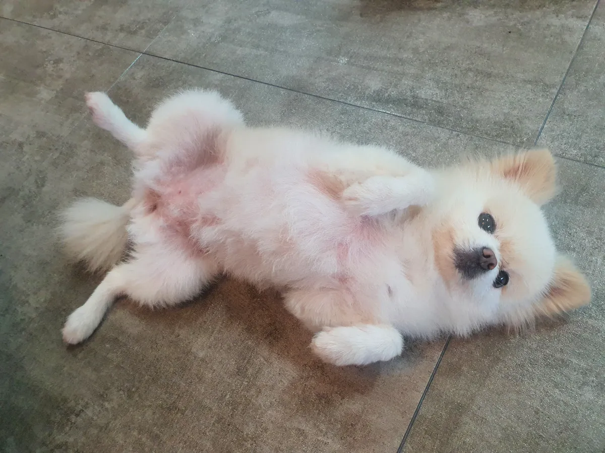 이미지 6