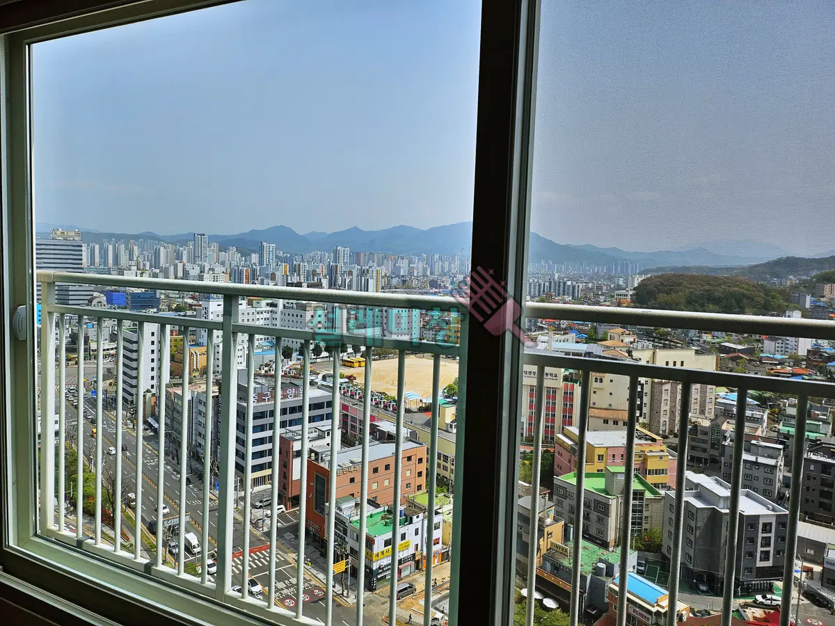 이미지 6