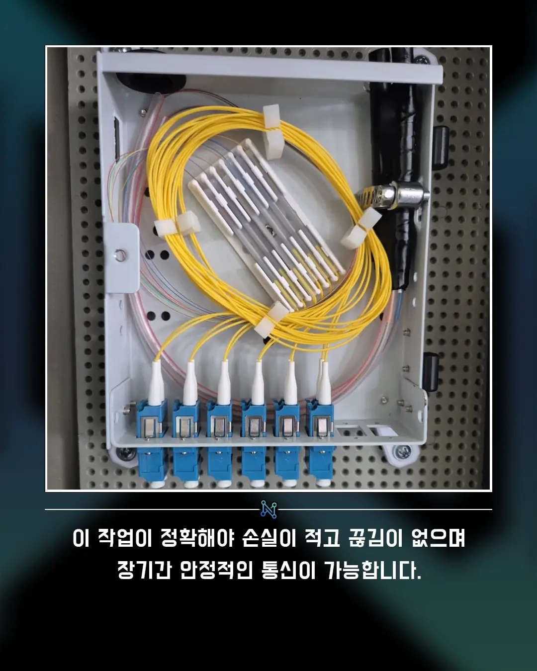 이미지 8