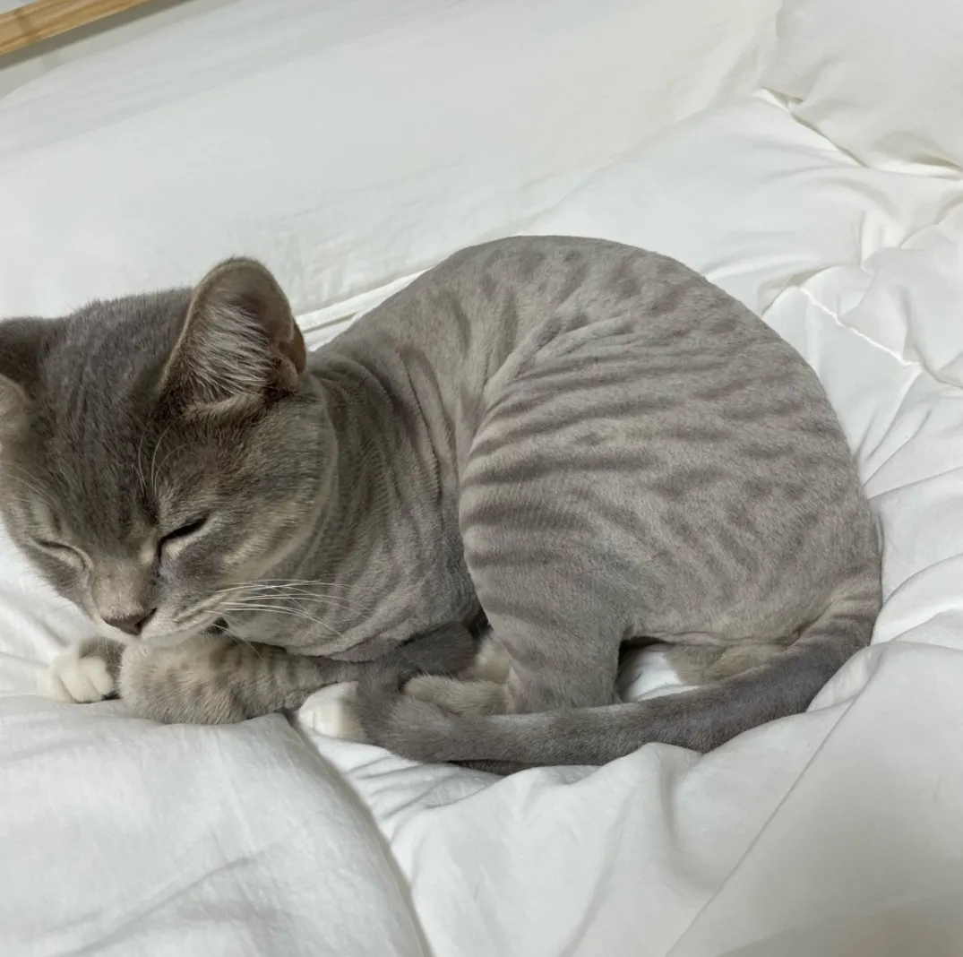 이미지 3