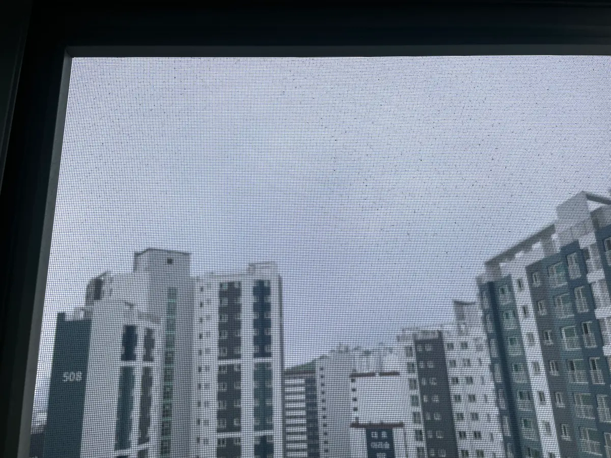 이미지 13