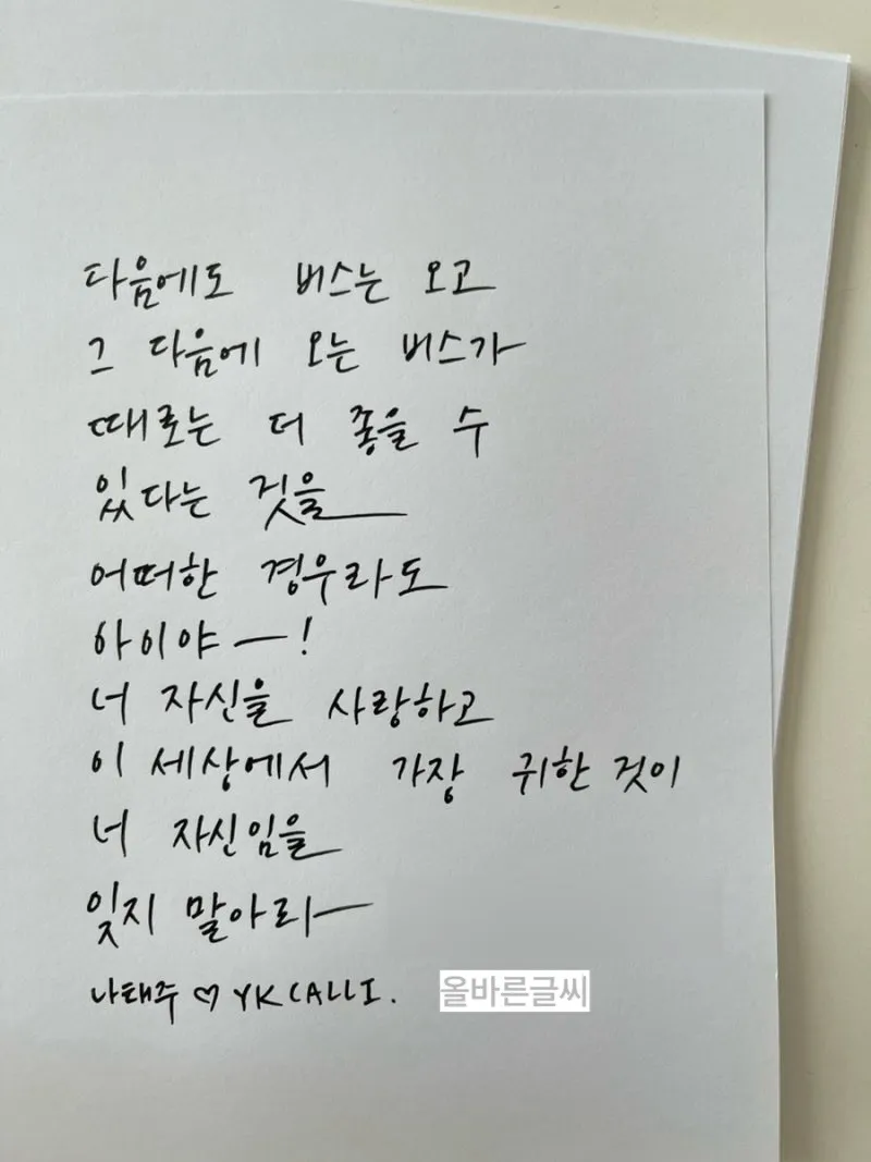 이미지 3