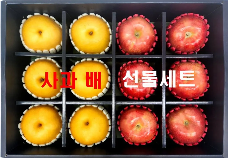 이미지 7