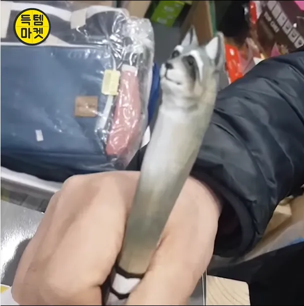 이미지 4