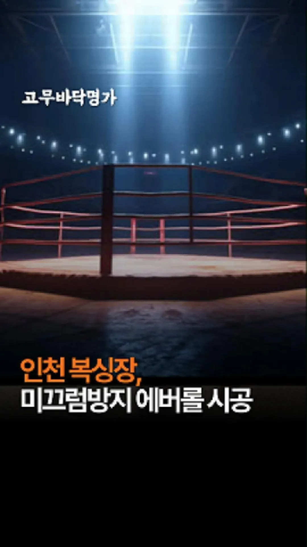 포트폴리오 이미지