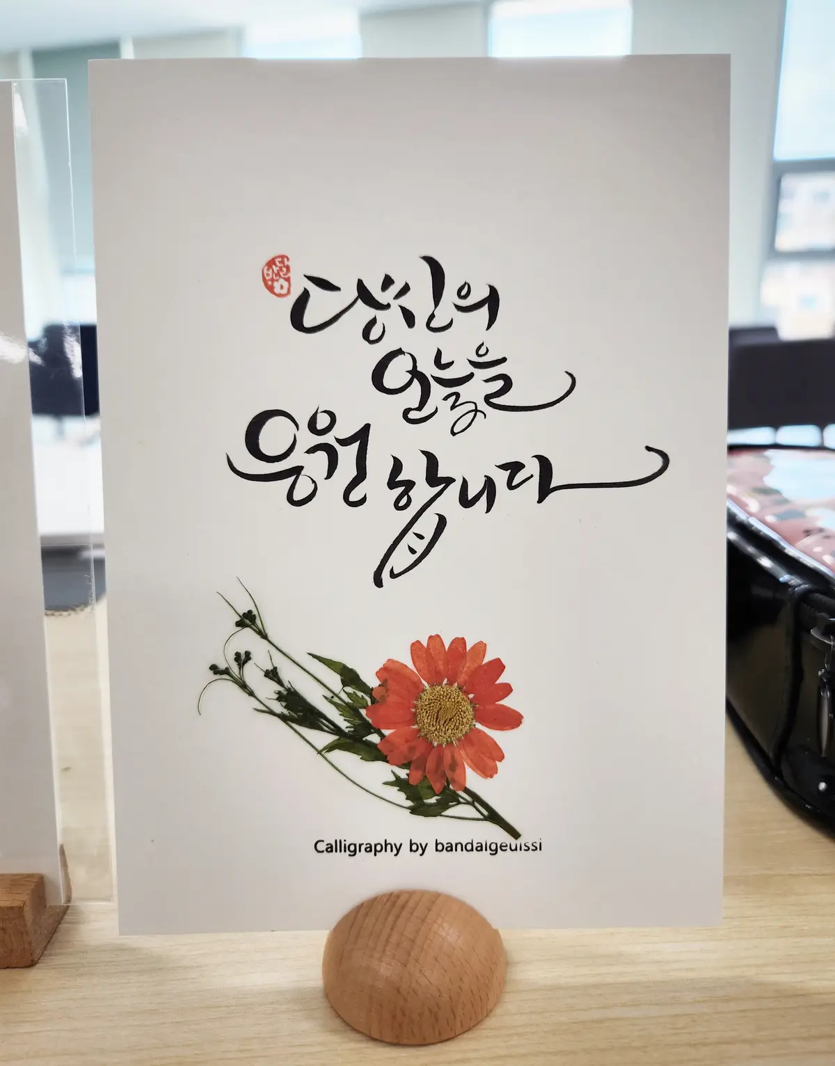 이미지 9