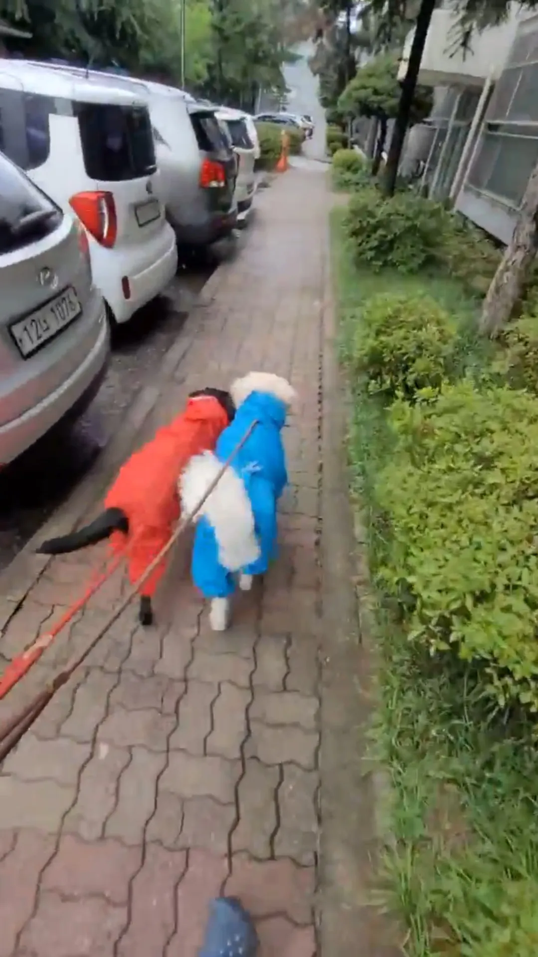 이미지 3