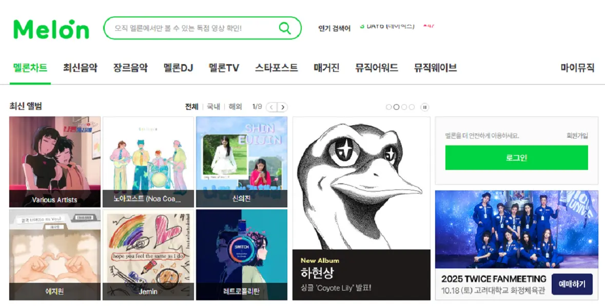 이미지 5