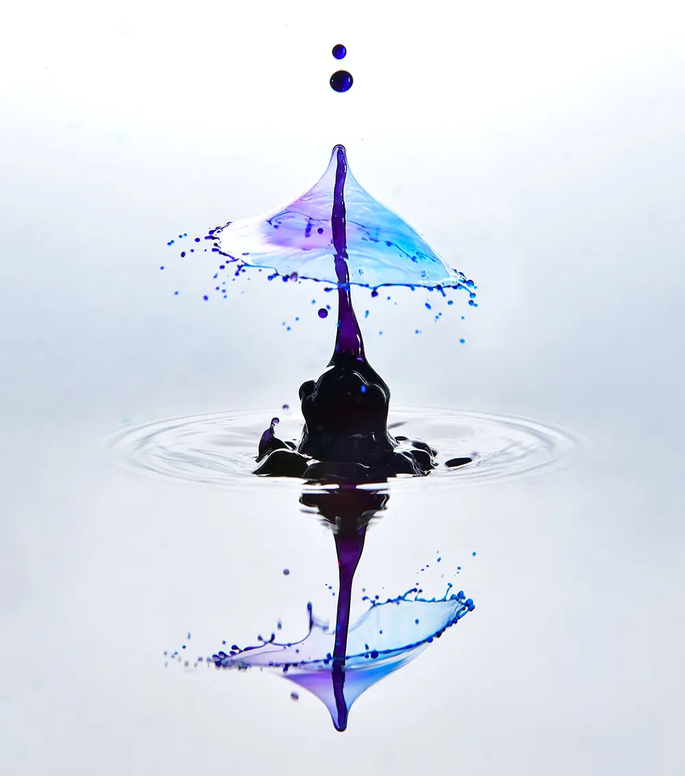 이미지 9