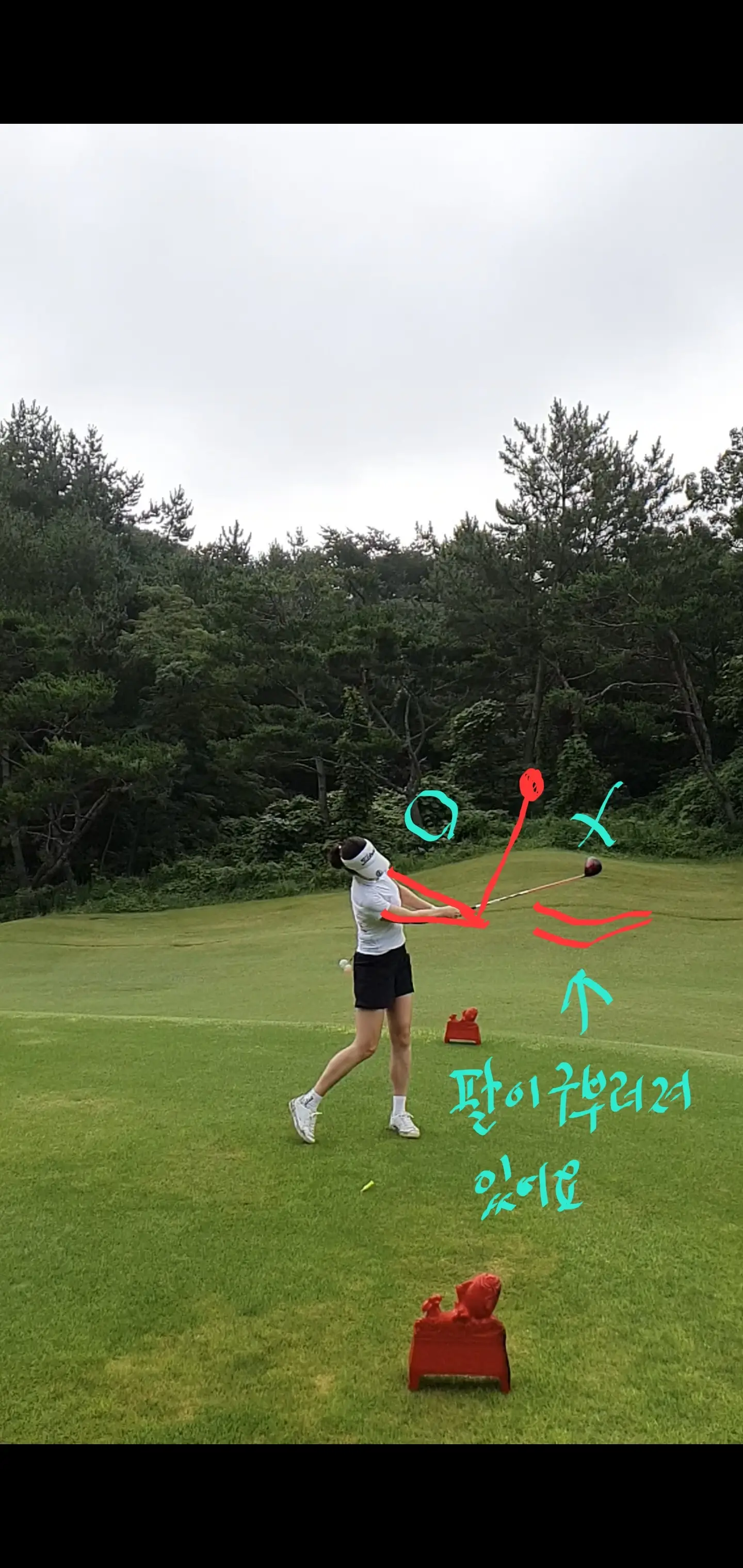 이미지 8
