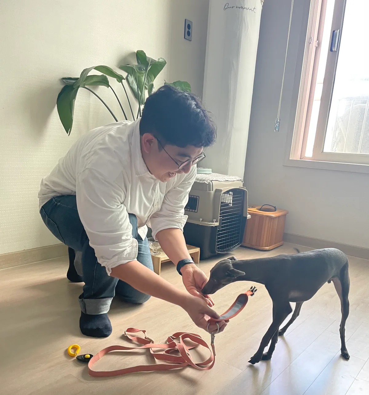 이미지 7