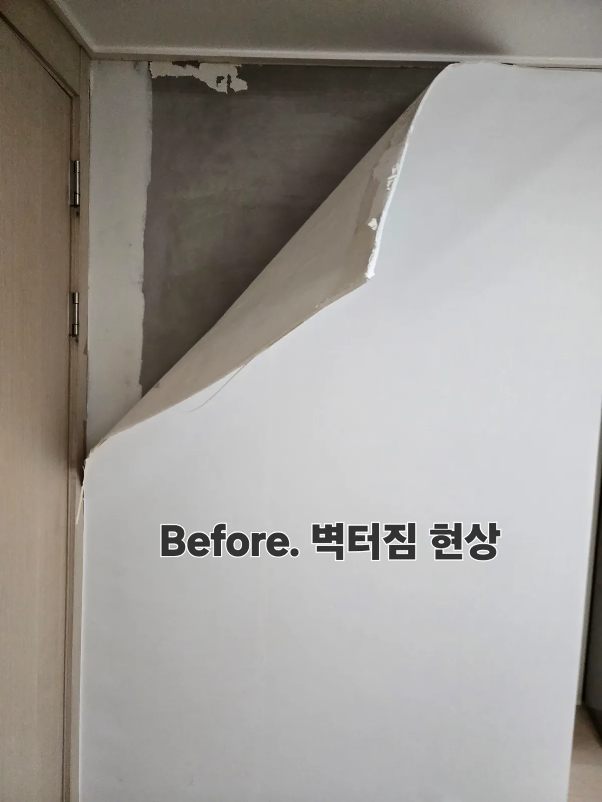 이미지 12
