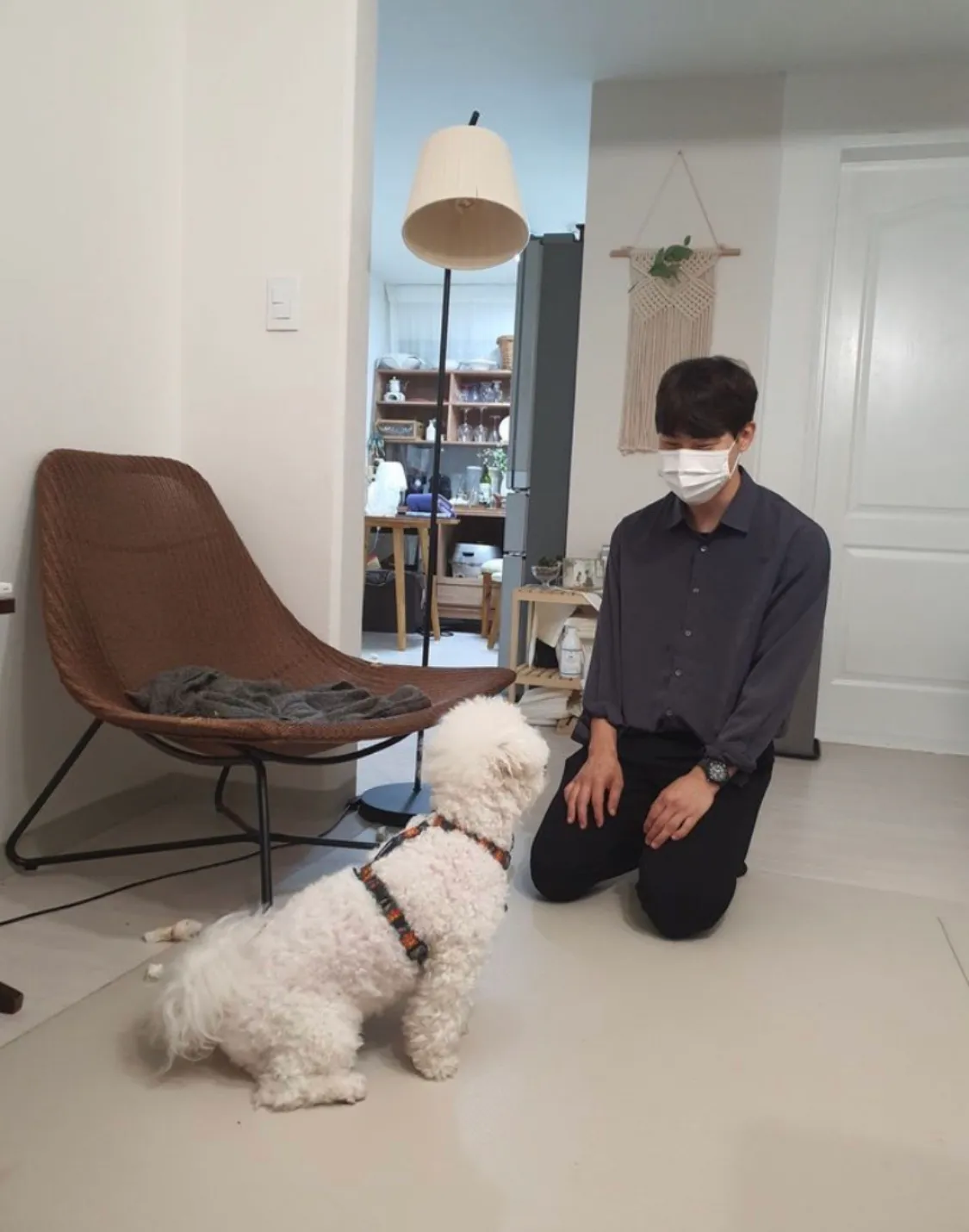 이미지 5