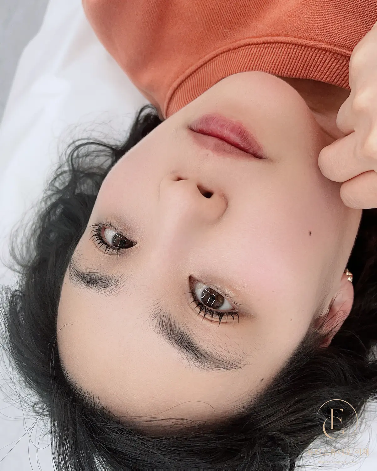 이미지 5