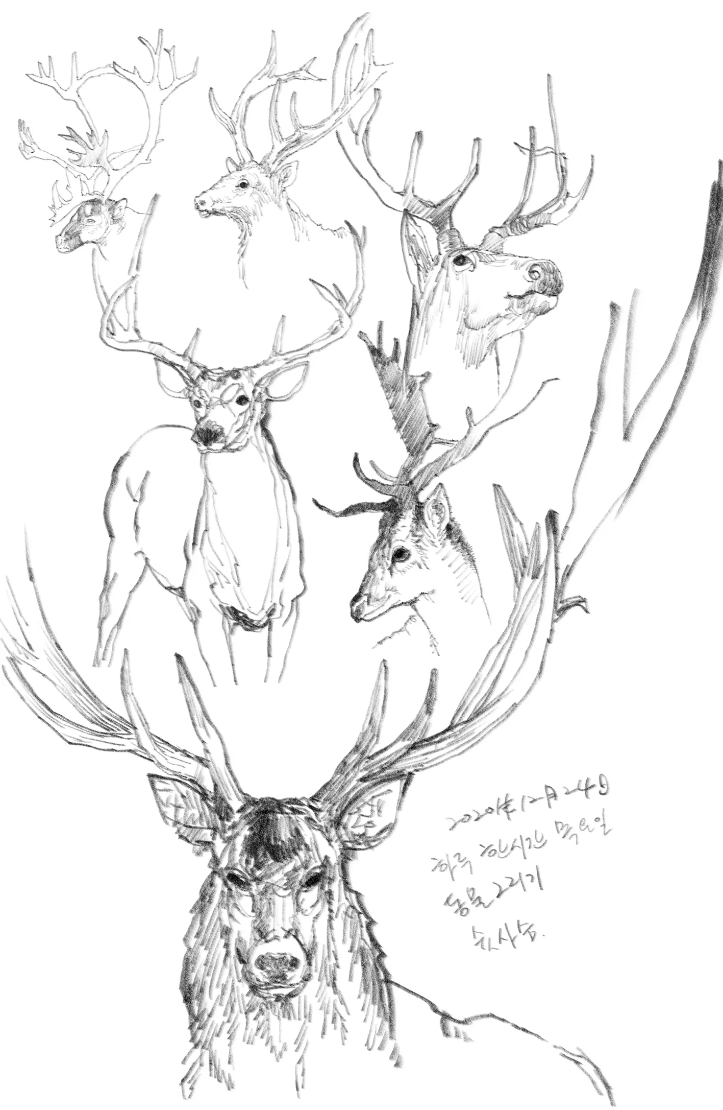 이미지 6
