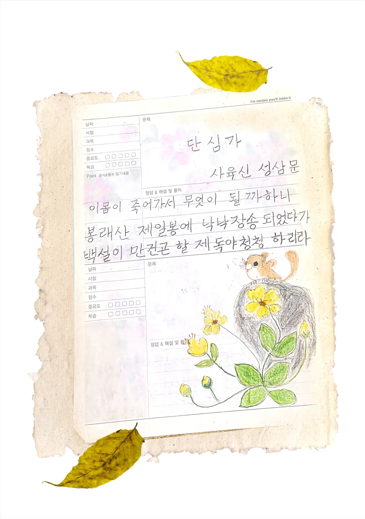 이미지 8