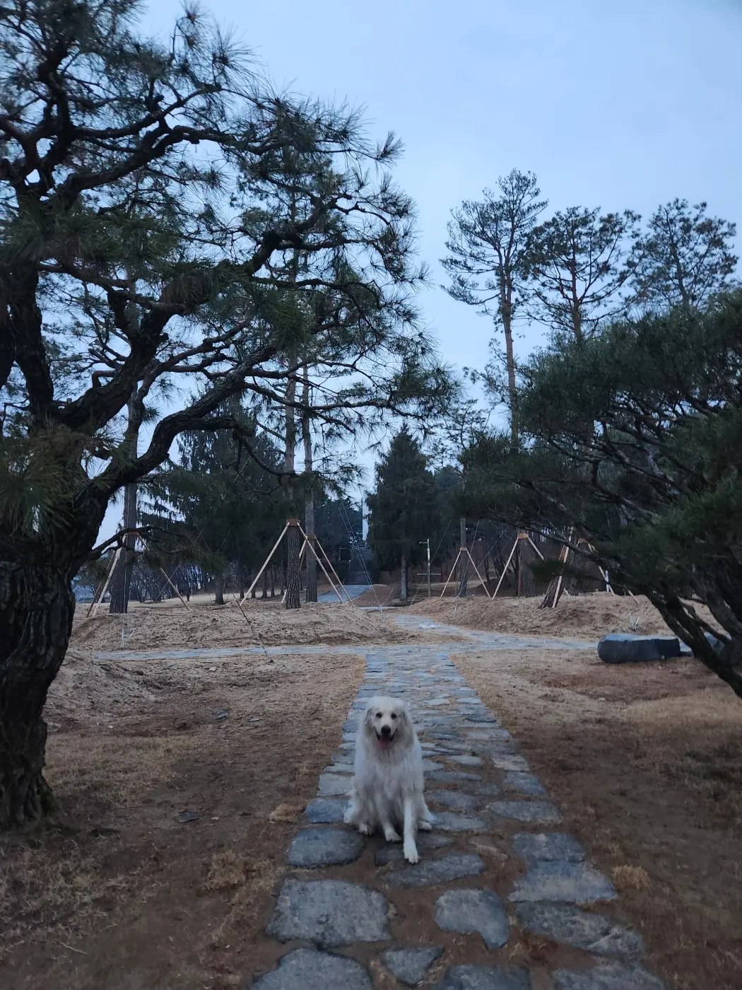 이미지 4