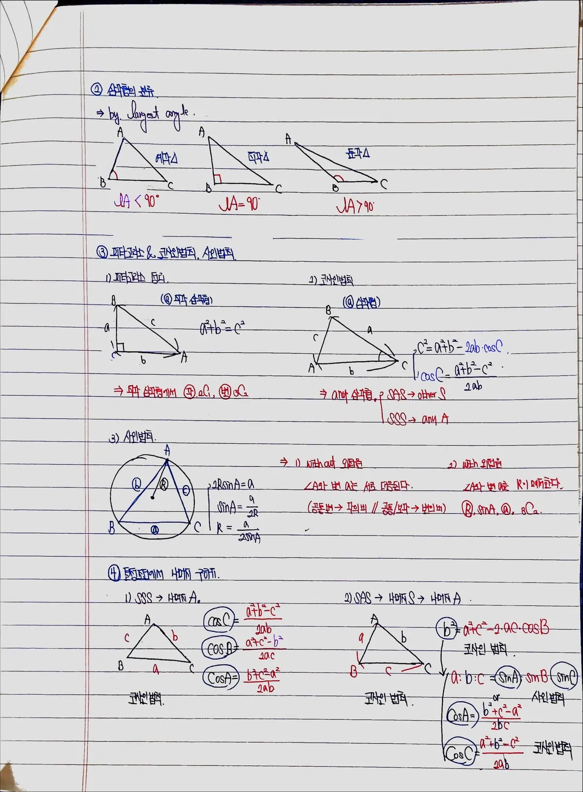 이미지 6