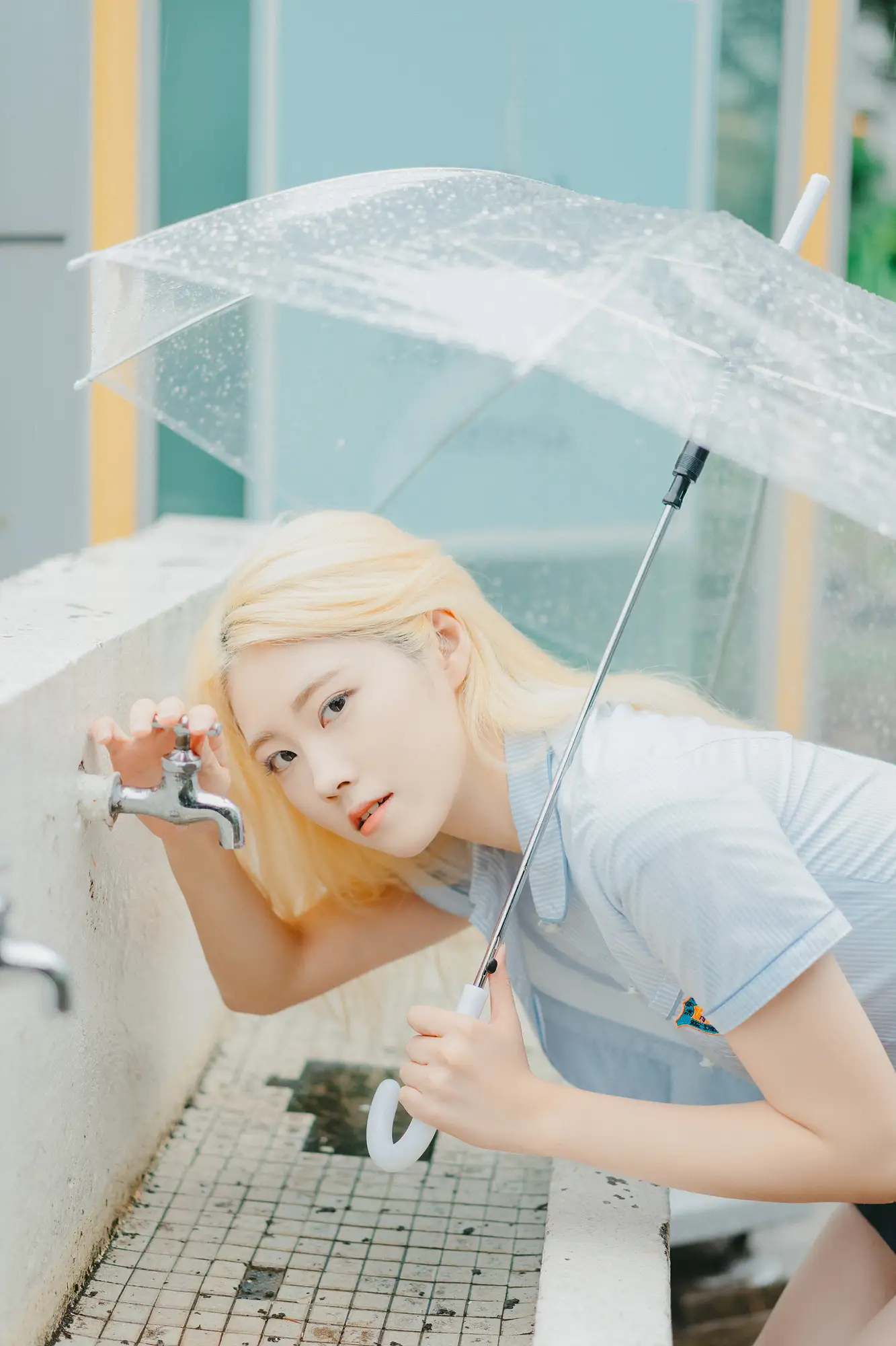이미지 5