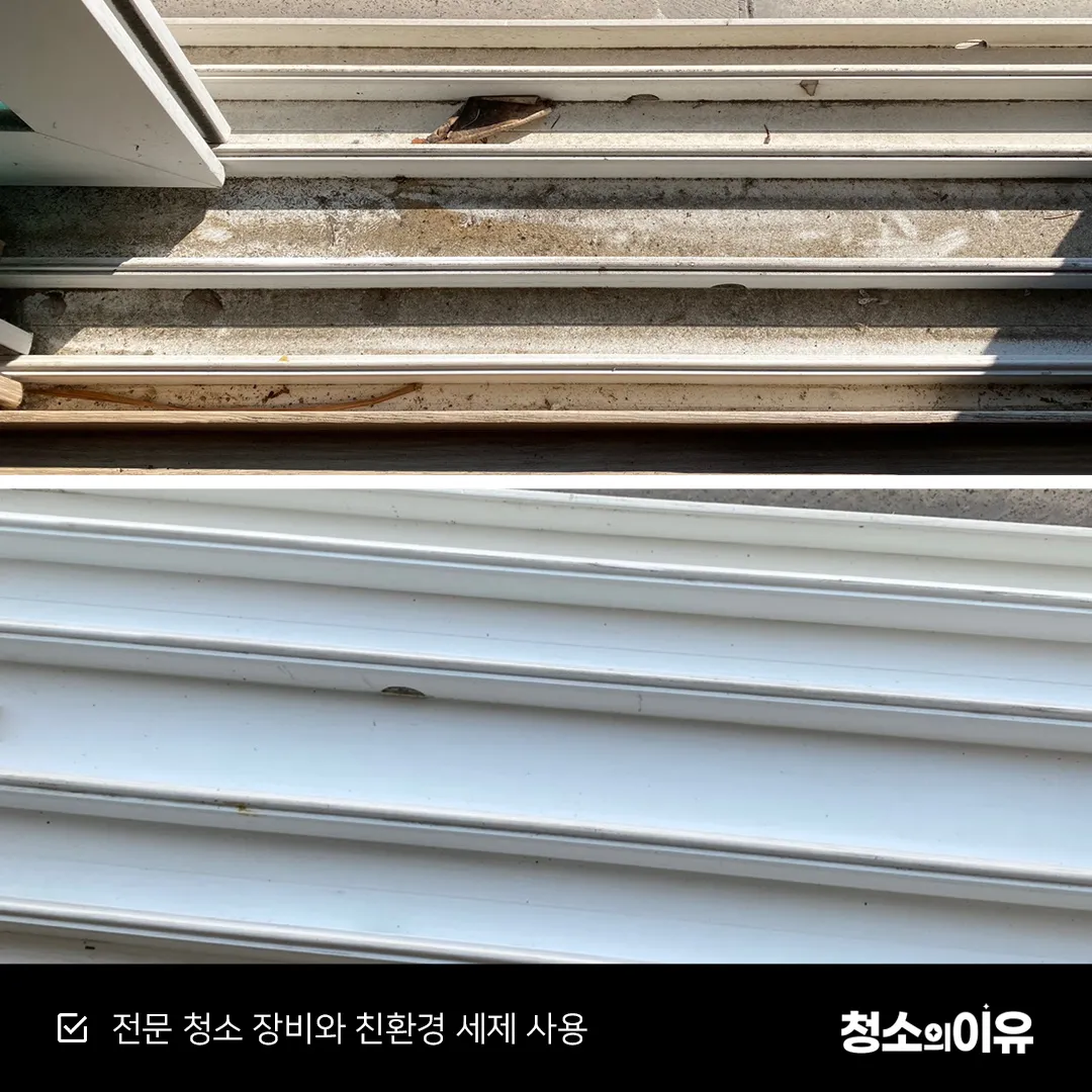 이미지 20