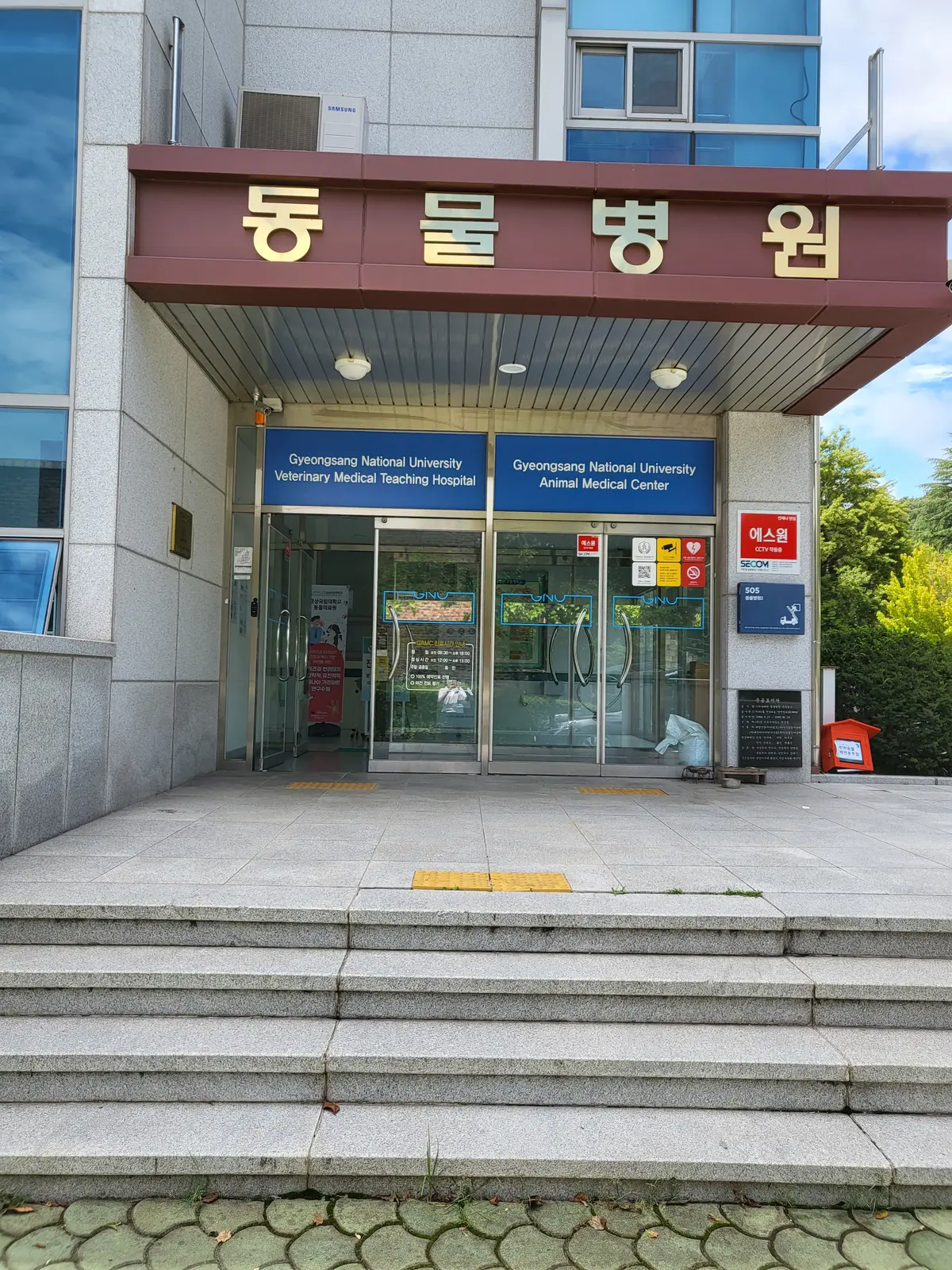 이미지 5