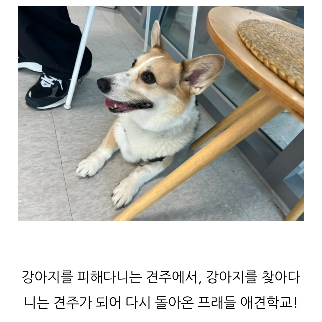 이미지 11