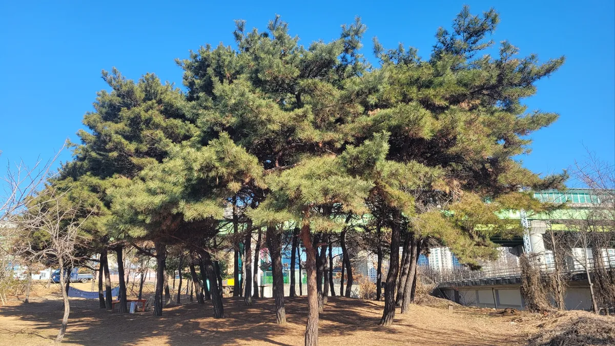 이미지 3