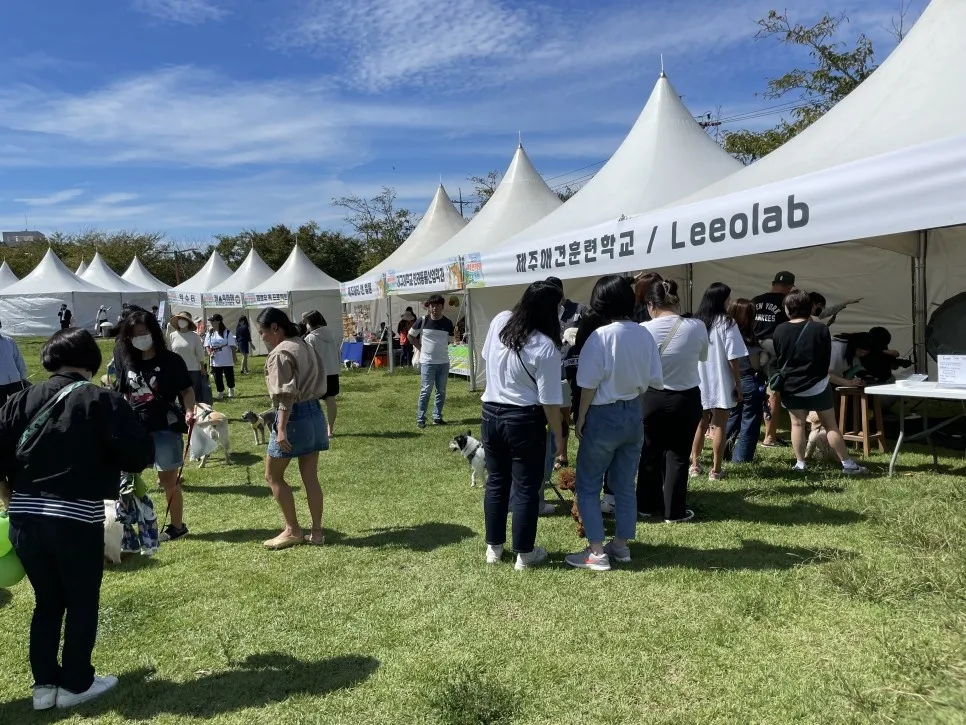 이미지 8
