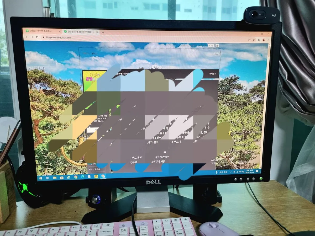 포트폴리오 이미지