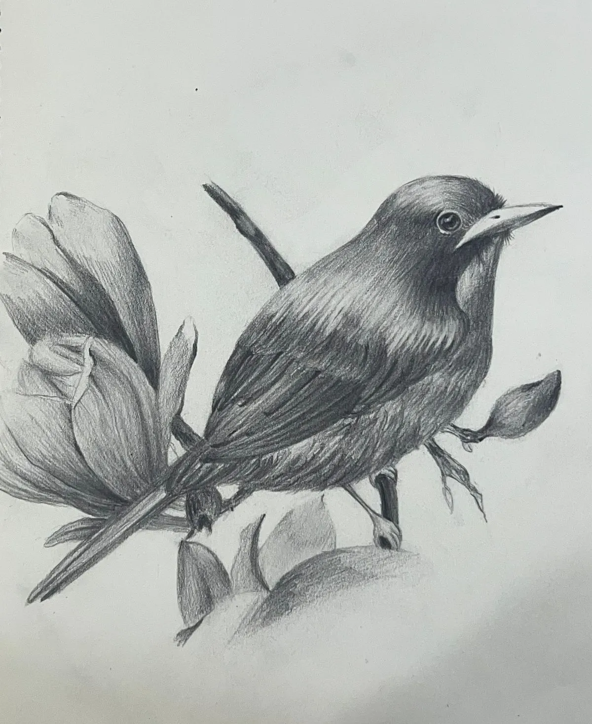 이미지 9