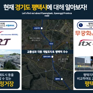 시장조사보고