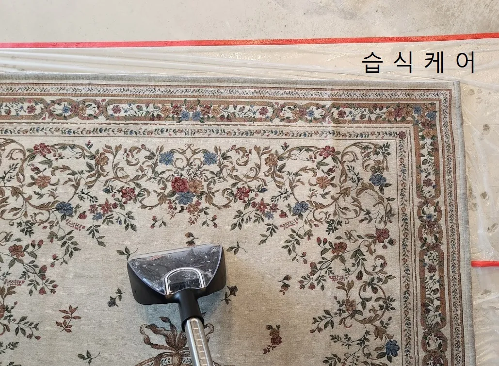 이미지 5