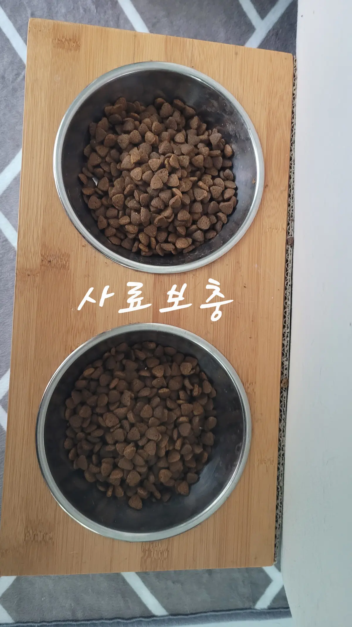 이미지 11