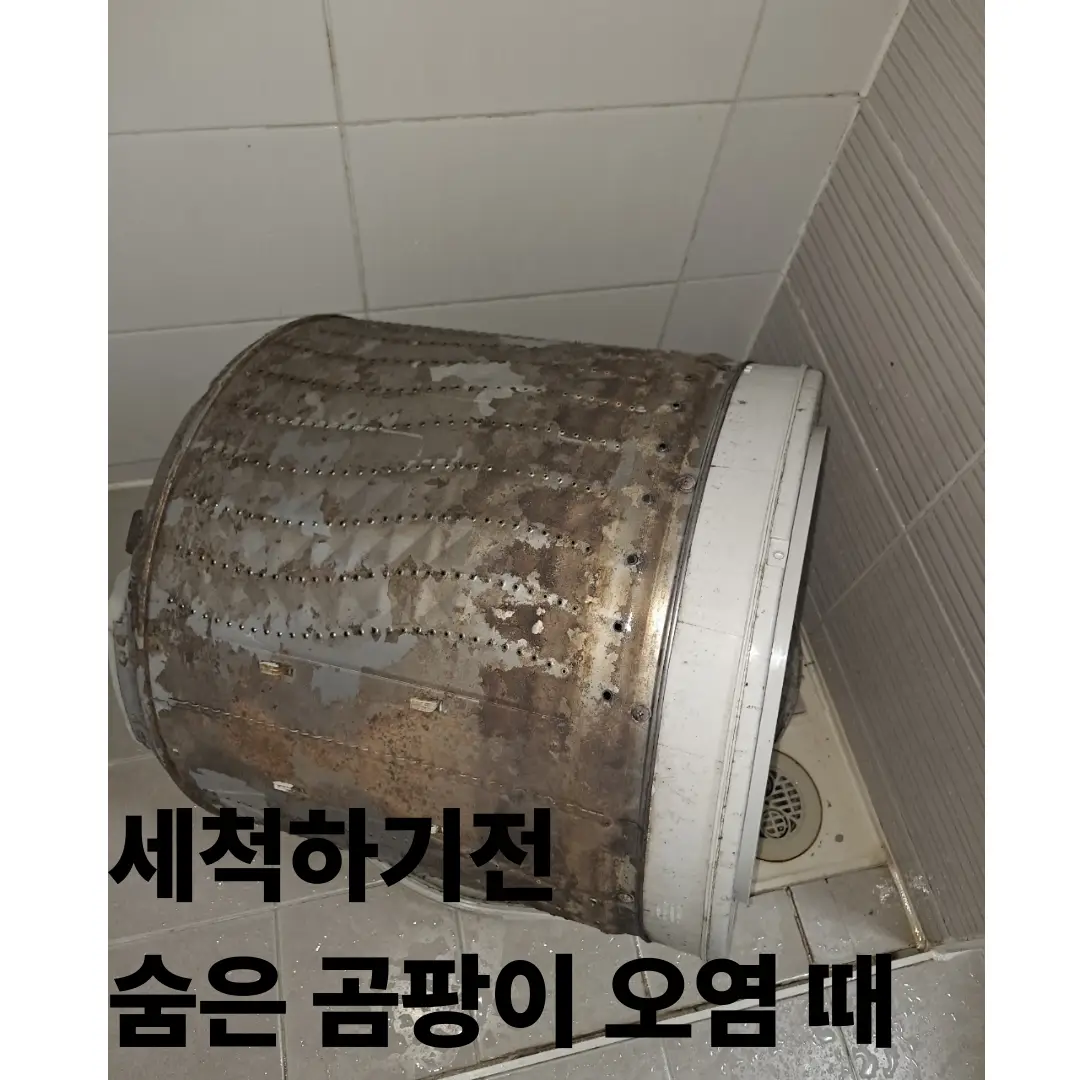 이미지 4