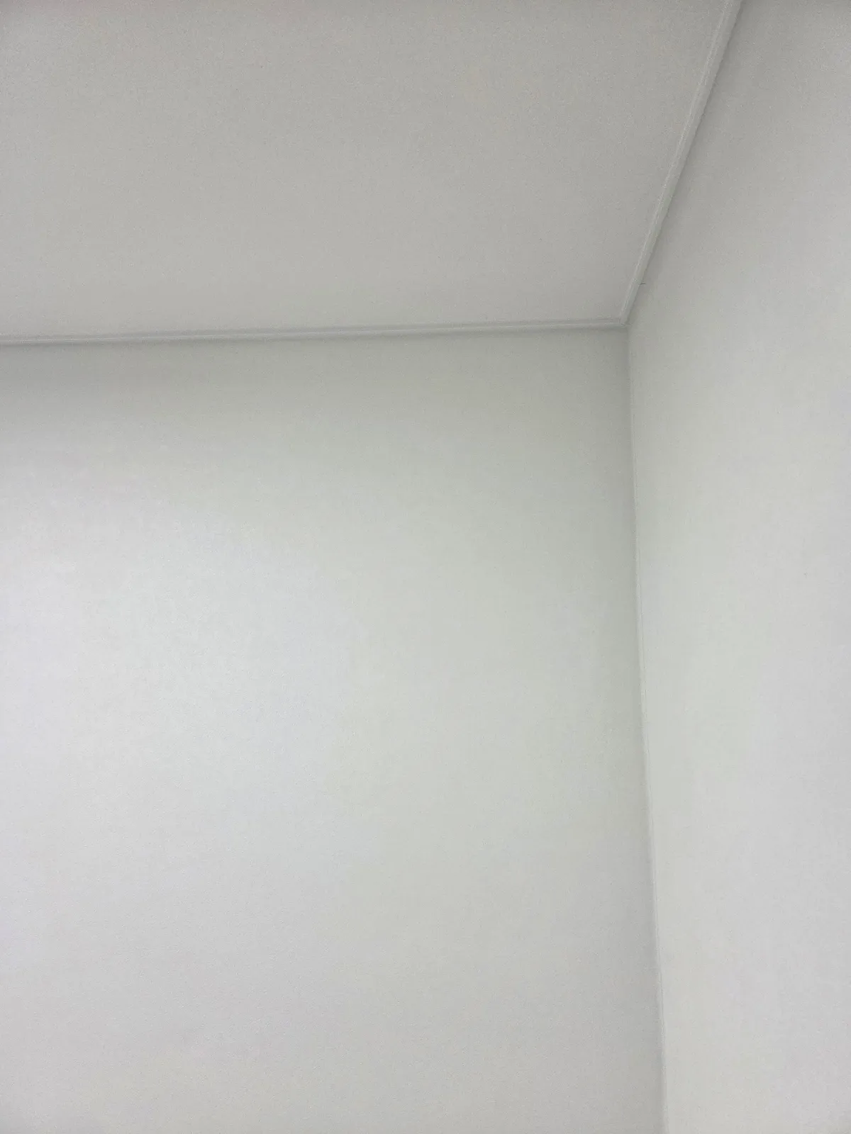 이미지 12