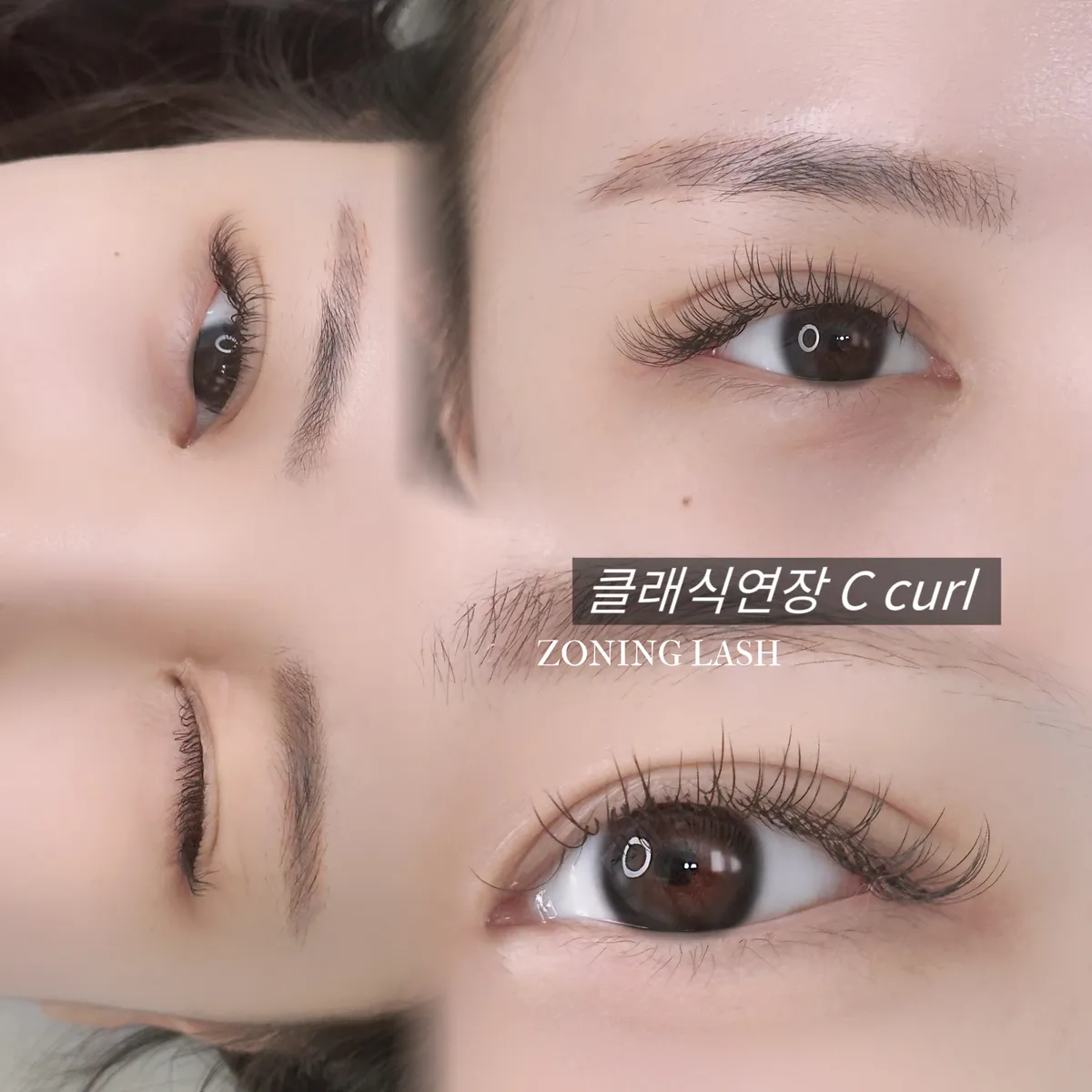 이미지 8